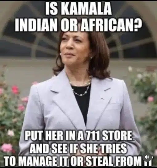 Funniest Memes, Racist Memes Kamala Indian or African