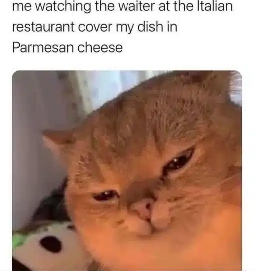 Food Memes, Funniest Memes 