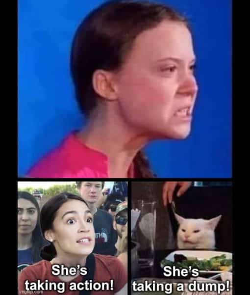 Funniest Memes, Greta Thunberg 