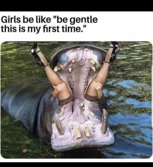 Animal Memes, Dark Humor, Double Meaning Memes, Funniest Memes, Girls Memes, Innuendo Memes, NSFW, Rough Sex Memes, Sex Memes, Virginity Memes, Women Memes, WTF Memes, The meme shows a large hippopotamus rising out of greenish water with its mouth stretched wide open, exposing its huge teeth, tongue, and cavernous pink jaws. Sticking up from inside the hippo’s open mouth are a person’s legs in high heels, creating a shocking, absurd visual that looks like someone has been swallowed or dramatically trapped.