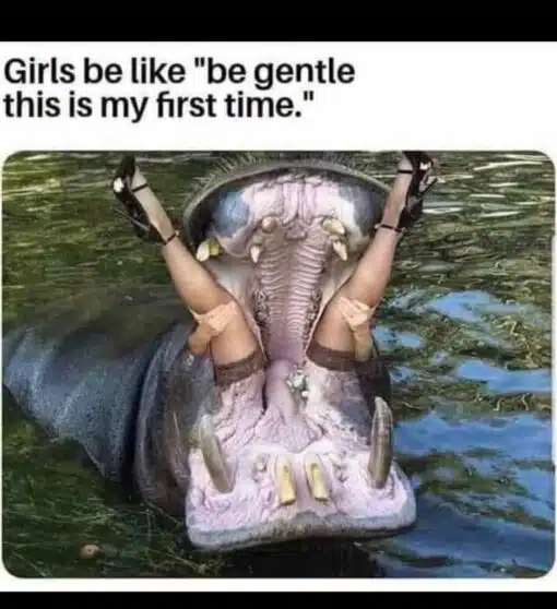 Animal Memes, Dark Humor, Double Meaning Memes, Funniest Memes, Girls Memes, Innuendo Memes, NSFW, Rough Sex Memes, Sex Memes, Virginity Memes, Women Memes, WTF Memes, The meme shows a large hippopotamus rising out of greenish water with its mouth stretched wide open, exposing its huge teeth, tongue, and cavernous pink jaws. Sticking up from inside the hippo’s open mouth are a person’s legs in high heels, creating a shocking, absurd visual that looks like someone has been swallowed or dramatically trapped.
