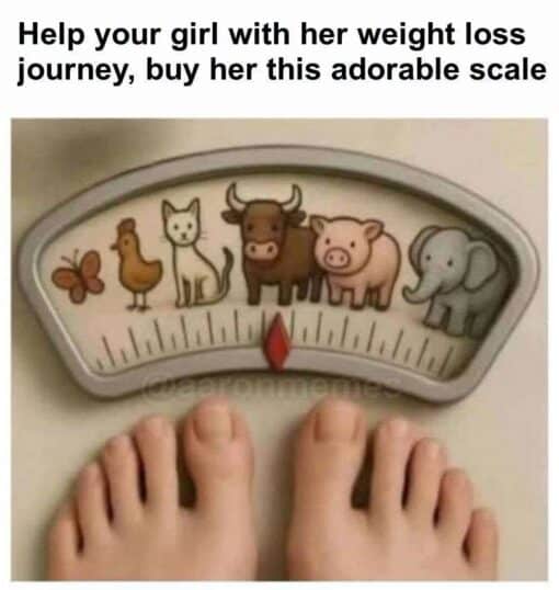Diet Memes, Double Meaning Memes, Fat Joke Memes, Fitness Memes, Funniest Memes, Girlfriend Memes, Health Memes, Mean Memes, Offensive Memes, Relationship Memes, Savage Memes, Weight Loss Memes, Women Memes, A bathroom scale is shown from above with someone’s bare feet standing on it. Instead of numbers, the dial is illustrated with a cute lineup of animals that get progressively larger: a butterfly, a chicken, a cat, a cow, a pig, and an elephant, with a red pointer indicating where the person lands.