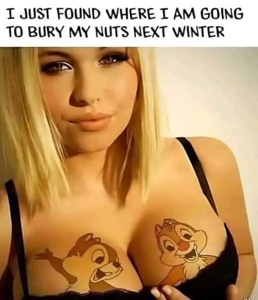 Animal Memes, Boob Memes, Cartoon Memes, Dirty Mind Memes, Disney Memes, Double Meaning Memes, Funniest Memes, Innuendo Memes, NSFW, Squirrel Memes, Tattoo Memes, Winter Memes, The meme shows a blonde woman posing in a low-cut black top, with cartoon chipmunk tattoos placed on her chest so that the characters appear to be looking excitedly toward her cleavage. The bold caption across the top reads, “I JUST FOUND WHERE I AM GOING TO BURY MY NUTS NEXT WINTER.”