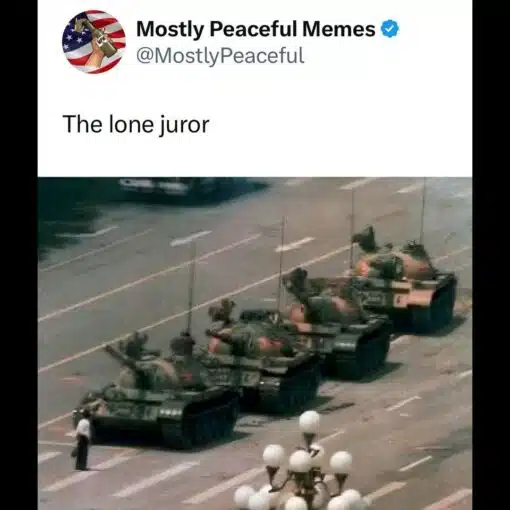 Dark Humor, Funniest Memes, Government Memes, History Memes, Judgement Memes, Law Memes, Lindsay Clancy, Political Memes, Protestor Memes, Social Media Memes, Twitter Memes, A tweet-style meme from “Mostly Peaceful Memes” shows the short caption “The lone juror” above the famous Tiananmen Square “Tank Man” image. In the photo, a single man stands in the roadway directly in front of a line of military tanks, tiny and exposed compared with the heavy armored vehicles facing him. The composition makes the caption feel instantly dramatic: one ordinary person is framed as the only thing stopping a massive, intimidating force from moving forward.
