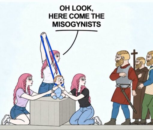 Argument Memes, Baby Memes, Bible Memes, Feminist Memes, Funniest Memes, Judgement Memes, Lindsay Clancy, Men vs Women, Misogynist Memes, Religious Memes, Sexist Memes, Women Memes, A cartoon scene shows several pink-haired, modern-dressed women gathered around a baby sitting on a stone-like block. One woman stands behind the baby with her arms raised, while two others kneel at either side, giving the scene a theatrical, staged-drama feeling.