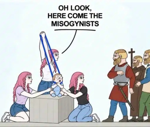 Argument Memes, Baby Memes, Bible Memes, Feminist Memes, Funniest Memes, Judgement Memes, Lindsay Clancy, Men vs Women, Misogynist Memes, Religious Memes, Sexist Memes, Women Memes, A cartoon scene shows several pink-haired, modern-dressed women gathered around a baby sitting on a stone-like block. One woman stands behind the baby with her arms raised, while two others kneel at either side, giving the scene a theatrical, staged-drama feeling.