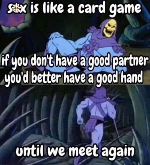 Cartoon Memes, Dirty Mind Memes, Double Meaning Memes, Funniest Memes, Handjob Memes, He-Man Memes, Innuendo Memes, Masterbation Memes, NSFW, Play on Words Memes, Pun Memes, Sex Memes, Skeletor Memes, The meme uses a dark, grainy cartoon still featuring Skeletor, the purple-hooded skull-faced villain from vintage He-Man animation, lounging dramatically in a shadowy lair. Large rounded white text with a black outline fills the image, with a flower censoring part of the word “s*x” at the top and the punchline spread across the middle and bottom. The final line, “until we meet again,” makes it feel like Skeletor has just delivered a ridiculous bit of villainous wisdom before striding away, turning an adult joke into a fake life lesson.