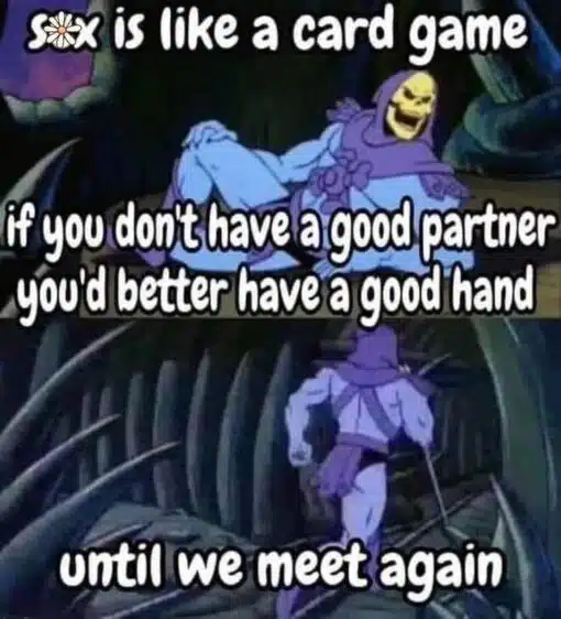 Cartoon Memes, Dirty Mind Memes, Double Meaning Memes, Funniest Memes, Handjob Memes, He-Man Memes, Innuendo Memes, Masterbation Memes, NSFW, Play on Words Memes, Pun Memes, Sex Memes, Skeletor Memes, The meme uses a dark, grainy cartoon still featuring Skeletor, the purple-hooded skull-faced villain from vintage He-Man animation, lounging dramatically in a shadowy lair. Large rounded white text with a black outline fills the image, with a flower censoring part of the word “s*x” at the top and the punchline spread across the middle and bottom. The final line, “until we meet again,” makes it feel like Skeletor has just delivered a ridiculous bit of villainous wisdom before striding away, turning an adult joke into a fake life lesson.