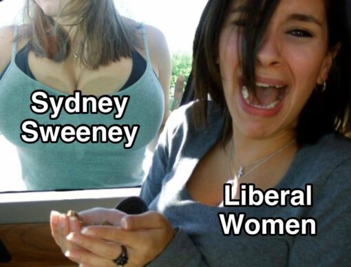 Angry Wokies, Celebrity Memes, Current Event Memes, Feminist Memes, Funniest Memes, Hollywood Memes, Leftist Memes, Liberal vs Conservative Memes, Political Memes, Pop Culture Memes, Sydney Sweeney Nude ad, Women Memes, The image shows a reaction-style scene with two women framed close-up: one partly visible on the left behind glass, with the label “Sydney Sweeney” placed over her torso, and another in the foreground labeled “Liberal Women,” caught mid-scream or exaggerated distress. The bold white text with black outline makes the labels read like a simple cause-and-effect joke: Sydney Sweeney appears, and the other woman reacts dramatically.