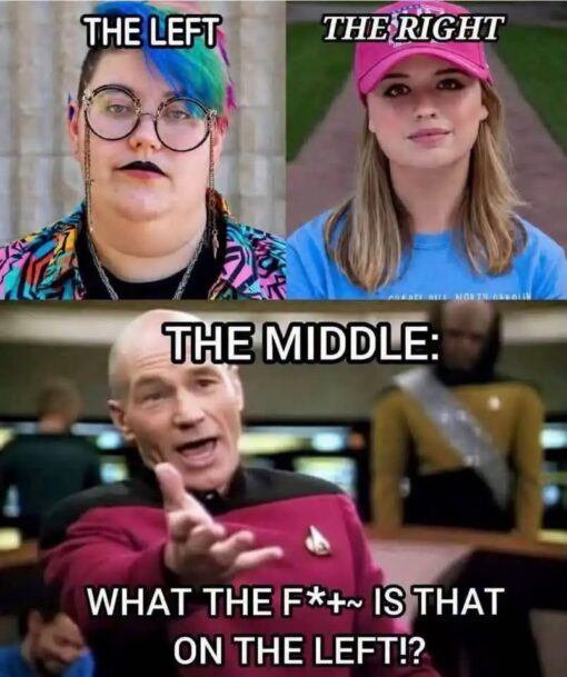 Confused Memes, Conservative Memes, Funniest Memes, Insult Memes, Leftist Memes, Liberal vs Conservative Memes, Offensive Memes, Political Memes, Right Wing Memes, Star Trek Memes, Stereotype Memes, WTF Memes, The meme is a three-panel political comparison. The top half places two portraits side by side: “THE LEFT” over a person with brightly dyed hair, round glasses, dark lipstick, and a colorful outfit, and “THE RIGHT” over a blonde woman in a pink baseball cap and blue shirt. The layout frames them as exaggerated visual stand-ins for two opposing political camps. The bottom half shows a man in a Star Trek-style uniform dramatically reaching forward, labeled “THE MIDDLE:” with the caption, “WHAT THE F*+~ IS THAT ON THE LEFT!?” His startled pose and blunt text make him the reaction character, supposedly representing a centrist reacting to the comparison above.