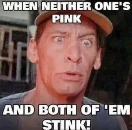 Dirty Mind Memes, Double Meaning Memes, Funniest Memes, Gross Memes, Innuendo Memes, NSFW, Offensive Memes, Sex Memes, Smelly Memes, Stink Memes, A grainy reaction-image meme shows a close-up of Ernest P. Worrell, the rubber-faced character played by Jim Varney, wearing a cap and staring wide-eyed with a baffled, alarmed expression. The oversized white Impact-style text is split across the top and bottom, turning his shocked face into the punchline’s emotional reaction.