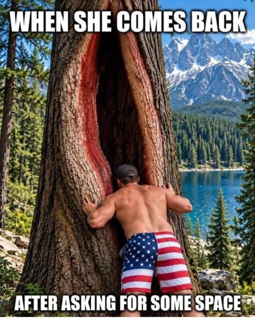 Dating Memes, Dirty Mind Memes, Double Meaning Memes, Funniest Memes, Girlfriend Memes, Innuendo Memes, Men vs Women, Nature Memes, NSFW, Relationship Memes, Sex Memes, Tree Memes, Vagina Memes, A shirtless man in American flag shorts presses himself into a tall, split-open tree trunk in the middle of a scenic mountain forest. The background is postcard-pretty, with evergreen trees, a blue lake, and snowy peaks, while the tree’s long hollow opening creates an obvious visual innuendo. The bold white meme text reads “WHEN SHE COMES BACK” across the top and “AFTER ASKING FOR SOME SPACE” across the bottom, framing the image like a punchline about a relationship break gone very wrong.