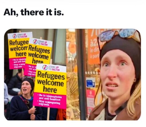 Activist Memes, Funniest Memes, Funny Sign Memes, Funny Text Memes, Grammar Memes, Immigration Memes, Photos Gone Wrong, Pics Gone Wrong, Political Memes, Protestor Memes, Racist Memes, Useful Idiot, Voting consequences girl, When You See It, The meme shows a protest scene with bright yellow-and-pink “STAND UP TO RACISM” placards clustered together, while a woman in a black beanie appears both in the crowd and enlarged on the right with a startled, searching expression. Above the image, the caption reads, “Ah, there it is.” The signs repeat a pro-refugee message, but the first two visible versions are partly blocked or visually mangled, leaving broken phrases like “Refugee welcom here,” “No to Islamop,” and “Stop sca migrants.” The fully readable sign in front finally spells out the complete slogan: “Refugees welcome here,” “No to Islamophobia and anti-Semitism,” and “Stop scapegoating migrants.”