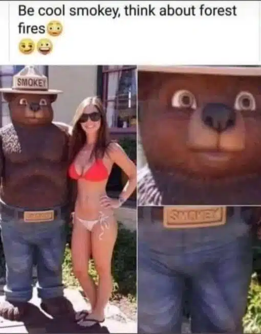 Awkward Memes, Bear Memes, Costume Memes, Dirty Mind Memes, Double Meaning Memes, Environmental Memes, Funniest Memes, Horny Memes, Innuendo Memes, Nature Memes, Pop Culture Memes, Smoking Memes, Tree Memes, The meme shows a photo collage of a Smokey Bear mascot posing outdoors beside a smiling woman in a red-and-white bikini. Smokey is wearing his signature ranger hat and blue jeans, with “SMOKEY” visible on both the hat and belt buckle.