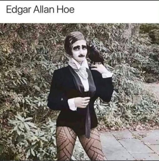 Book Memes, Costume Memes, Double Meaning Memes, Funniest Memes, Goth Memes, History Memes, Hoe Memes, Horror Memes, Play on Words Memes, Poem Memes, Pun Memes, Spooky Memes, Writer Memes, The meme shows a black-and-white, old-fashioned portrait-style image of someone dressed like Edgar Allan Poe: dark coat, pale face, heavy eyebrows, small mustache, and a dramatic raven perched on their shoulder. The classic literary look is undercut by fishnet stockings and a more provocative, costume-party pose.
