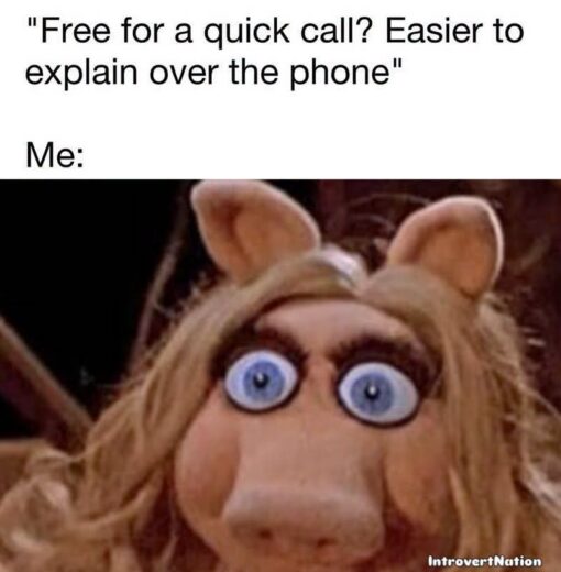 Anxiety Memes, Awkward Memes, Conversation Memes, Funniest Memes, Funny Text Memes, Introvert Memes, Phone Memes, Work Memes, The meme starts with a plain white text panel that reads, “Free for a quick call? Easier to explain over the phone” followed by “Me:” underneath. Below the caption is a close-up of a puppet-like pig character with huge, bulging blue eyes and an intensely frozen stare, as if the very idea of a phone call has caused immediate panic.