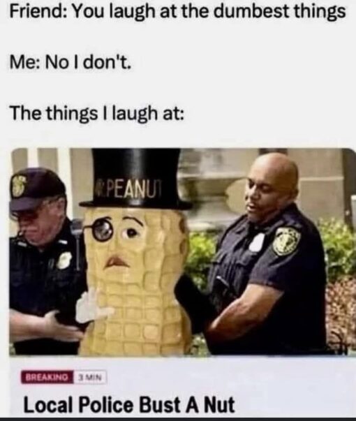 Cop Memes, Dirty Mind Memes, Double Meaning Memes, Food Memes, Friend Memes, Funniest Memes, Immature Memes, Innuendo Memes, News Memes, NSFW, Play on Words Memes, Police Memes, Pun Memes, The meme starts with a simple text exchange: a friend accuses the narrator of laughing at “the dumbest things,” and the narrator denies it. Beneath that setup is a fake-looking news image showing two police officers physically restraining a person dressed as a giant peanut, complete with a top hat and monocle-like face detail. At the bottom of the image, a news-style lower-third reads “BREAKING 3 MIN” followed by the headline “Local Police Bust A Nut,” turning the scene into a ridiculous mock news report. The combination of serious police imagery, a costumed peanut character, and the headline makes the punchline instantly silly and slightly dirty.