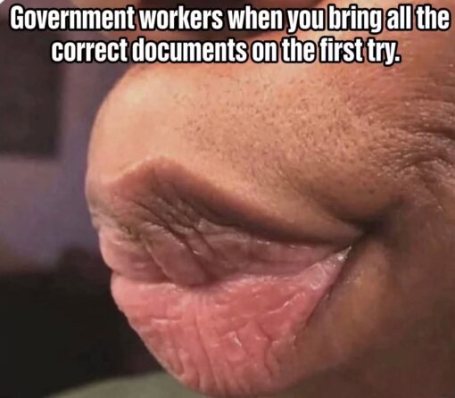 Customer Service Memes, DMV Memes, Frustrated Memes, Funniest Memes, Funny Text Memes, Government Memes, Job Memes, Sad, Work Memes, The meme shows a tight, zoomed-in close-up of a man’s face with his eyes squeezed shut and his mouth pulled into an emotional, almost tearful grimace. Across the top, large bold white text with a black outline reads: “Government workers when you bring all the correct documents on the first try.” The image exaggerates the worker’s reaction as if they are devastated, overwhelmed, or unable to process what just happened. The dramatic facial expression turns an ordinary paperwork interaction into a melodramatic moment of shock.