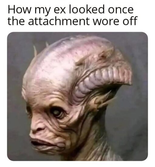 Breakup Memes, Creepy Memes, Dating Memes, Funniest Memes, Funny Looking People Memes, Gross Memes, Looks Memes, My EX Memes, Relationship Memes, Savage Memes, Toxic Relationship Memes, Ugly People Memes, Weird Memes, The meme shows a white background with large black text reading, “How my ex looked once the attachment wore off.” Beneath it is a close-up image of a strange, hairless, wrinkled creature with a bulbous head, deep facial folds, dark sunken eyes, and a grim little mouth, giving it an unsettling alien-or-goblin look.
