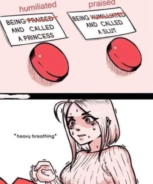 Anime Memes, BDSM Memes, Dirty Talk Memes, Double Meaning Memes, Fetish Memes, Funniest Memes, Horny Memes, Kink Memes, NSFW, Sex Memes, Sexuality Memes, Slut Meme, Sweating The Choice, A two-panel, manga-style meme shows a choice between two red buttons. The labels above them read “humiliated” and “praised,” but the button text flips the expected meanings: one says “BEING PRAISED AND CALLED A PRINCESS,” with “PRAISED” crossed out, while the other says “BEING HUMILIATED AND CALLED A SLUT,” with “HUMILIATED” crossed out.