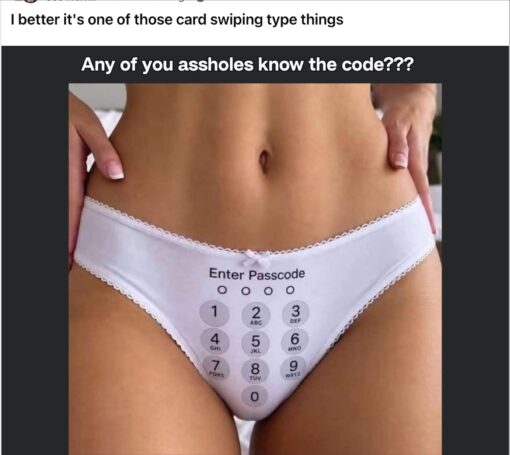 Asshole Memes, Code Memes, Confused Memes, Dirty Mind Memes, Double Meaning Memes, Funniest Memes, Funny Text Memes, Innuendo Memes, NSFW, Phone Memes, Sex Memes, Tech Memes, The meme shows a cropped photo of a woman’s lower torso wearing white underwear printed to look like a smartphone passcode screen. Across the front is an “Enter Passcode” prompt with four empty circles and a number keypad laid out like a phone lock screen, complete with the familiar letters under the digits. Above the image, the caption jokes, “Any of you assholes know the code???” while the top line adds, “I better it's one of those card swiping type things,” turning the underwear’s printed keypad into a mock security challenge.