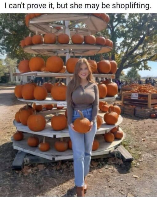 Boob Memes, Dirty Mind Memes, Double Meaning Memes, Funniest Memes, Halloween Memes, Innuendo Memes, Optical Illusion Memes, Shopping Memes, Stealing Memes, Women Memes, A woman stands smiling in front of a tiered outdoor pumpkin display at what looks like a pumpkin patch or fall market. She is holding a small pumpkin in both hands, surrounded by rows of bright orange pumpkins stacked behind her under sunny trees.