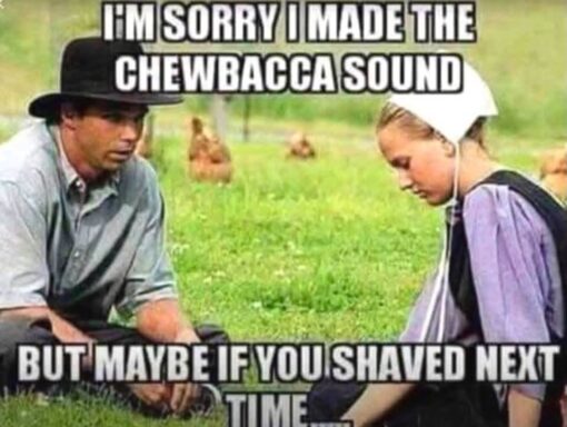 Chewbacca Memes, Couple Memes, Dirty Mind Memes, Double Meaning Memes, Funniest Memes, Hair Memes, Innuendo Memes, Movie Memes, NSFW, Pop Culture Memes, Relationship Memes, Sex Memes, Star Wars Memes, The meme shows a young man and woman in old-fashioned, plain rural clothing sitting outside in a grassy field, with chickens wandering in the blurred background. Both figures look awkward and downcast, as if they are having an uncomfortable conversation after an embarrassing moment.