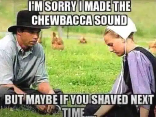 Chewbacca Memes, Couple Memes, Dirty Mind Memes, Double Meaning Memes, Funniest Memes, Hair Memes, Innuendo Memes, Movie Memes, NSFW, Pop Culture Memes, Relationship Memes, Sex Memes, Star Wars Memes, The meme shows a young man and woman in old-fashioned, plain rural clothing sitting outside in a grassy field, with chickens wandering in the blurred background. Both figures look awkward and downcast, as if they are having an uncomfortable conversation after an embarrassing moment.
