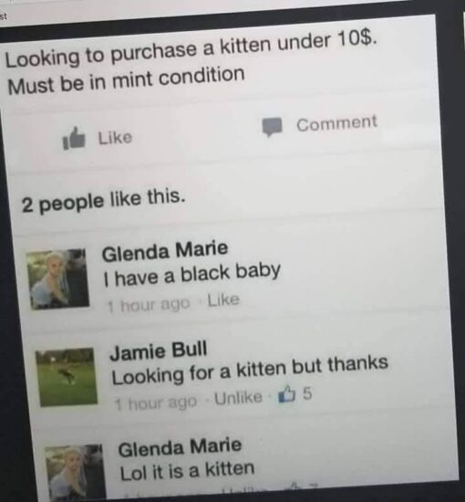 Animal Memes, Cat Memes, Conversation Memes, Double Meaning Memes, Facebook Memes, Funniest Memes, Funny Comments Memes, Funny Text Memes, Misunderstanding Memes, Not What I Meant Memes, Pet Memes, Shopping Memes, Social Media Memes, The image is a slightly tilted, blurry screenshot of a Facebook-style post. At the top, someone writes that they are looking to buy a kitten for under $10 and that it “Must be in mint condition,” phrasing the pet request like a collectible item or used product listing. Below the post, the comment thread shows Glenda Marie offering, “I have a black baby,” which Jamie Bull politely rejects because they are “Looking for a kitten.” Glenda then clarifies the punchline: “Lol it is a kitten.”