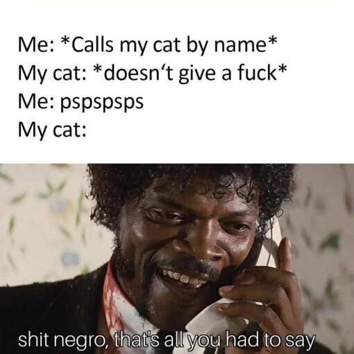 Animal Memes, Cat Memes, Conversation Memes, Funniest Memes, Funny Text Memes, Movie Memes, NSFW, Offensive Memes, Pet Memes, Pop Culture Memes, Pulp Fiction Memes, Quote Memes, Samuel L. Jackson Memes, A simple white text panel sets up a familiar cat-owner scenario: the owner calls their cat by its actual name and gets completely ignored, then switches to the universal cat-attracting sound “pspspsps.” Beneath the setup is a movie still of Samuel L. Jackson holding a phone, smiling with sudden recognition, captioned as if the cat has finally heard the one phrase that matters. The image uses a stark meme format—plain text above, cinematic reaction image below—to turn a tiny everyday pet behavior into an exaggerated dramatic response. The humor is sharpened by the profane, edgy quoted line at the bottom, which makes the cat seem cool, blunt, and oddly human.