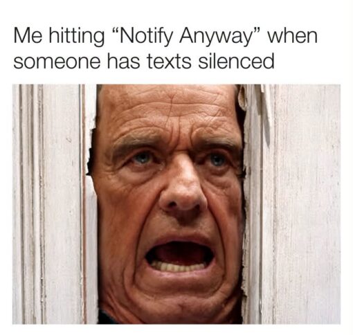 Angry Text Memes, Conversation Memes, Famous Movie Scene, Funniest Memes, Funny Text Memes, Horror Memes, Messenger Memes, Movie Memes, Phone Memes, Pop Culture Memes, Tech Memes, The meme pairs a simple caption with a close-up of a furious, unhinged man forcing his face through a splintered white door. His mouth is open mid-yell, his eyes are intense, and the cramped doorway makes him look like he is literally invading someone’s space.