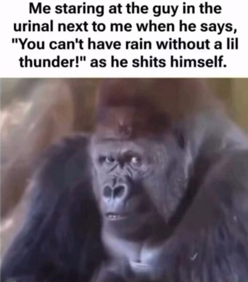 Awkward Memes, Bathroom Memes, Funniest Memes, Gross Memes, Pee Memes, Poop Memes, Pun Memes, Smelly Memes, Stink Memes, Toilet Memes, Weather Memes, WTF Memes, The meme pairs a block of bold black text with a blurry, close-up image of a gorilla giving an intense sideways stare. The gorilla’s wide-eyed, frozen expression reads like disbelief, alarm, and judgment all at once, as if it has just witnessed something deeply wrong but can’t look away. The caption sets the scene in a public bathroom: someone at the neighboring urinal casually drops the line, “You can't have rain without a lil thunder!” while having a disastrous bodily accident. The serious animal reaction image makes the disgusting situation feel even more absurd and cinematic.
