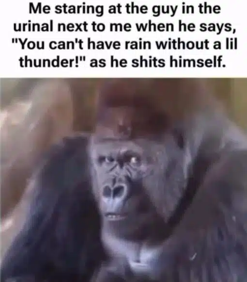 Awkward Memes, Bathroom Memes, Funniest Memes, Gross Memes, Pee Memes, Poop Memes, Pun Memes, Smelly Memes, Stink Memes, Toilet Memes, Weather Memes, WTF Memes, The meme pairs a block of bold black text with a blurry, close-up image of a gorilla giving an intense sideways stare. The gorilla’s wide-eyed, frozen expression reads like disbelief, alarm, and judgment all at once, as if it has just witnessed something deeply wrong but can’t look away. The caption sets the scene in a public bathroom: someone at the neighboring urinal casually drops the line, “You can't have rain without a lil thunder!” while having a disastrous bodily accident. The serious animal reaction image makes the disgusting situation feel even more absurd and cinematic.