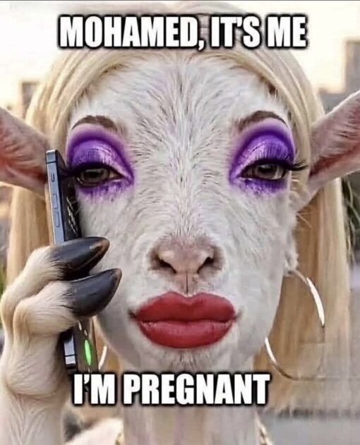 Animal Memes, Baby Daddy Memes, Beasteality Memes, Conversation Memes, Funniest Memes, Funny Text Memes, Goat Memes, Muslim Memes, Offensive Memes, Phone Memes, Pregnancy Memes, Stereotype Memes, WTF Memes, A close-up image shows a goat edited to look like a heavily made-up woman: long blond hair, dramatic purple eye shadow, large false lashes, red lipstick, hoop earrings, and long black nails. The goat is holding a smartphone to its face as if making a serious phone call.