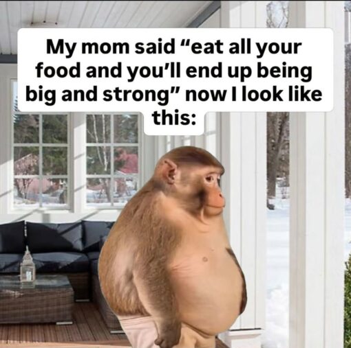 Animal Memes, Expectation vs Reality, Fat Joke Memes, Food Memes, Funniest Memes, Kids vs Parents Memes, Mom Memes, Out Of Shape Memes, Overeating Memes, Parent Memes, Self Deprecating Memes, The meme shows a pot-bellied monkey standing upright in a bright porch or sunroom, with snowy scenery visible through the windows behind it. The animal’s posture, round belly, and blank side-eye expression make it look almost like a tired little human caught in an awkward full-body pose. Above the image, bold black text on a white rounded rectangle reads: “My mom said "eat all your food and you'll end up being big and strong" now I look like this:” The punchline is completed by the monkey’s unexpectedly dumpy, not-so-heroic appearance.