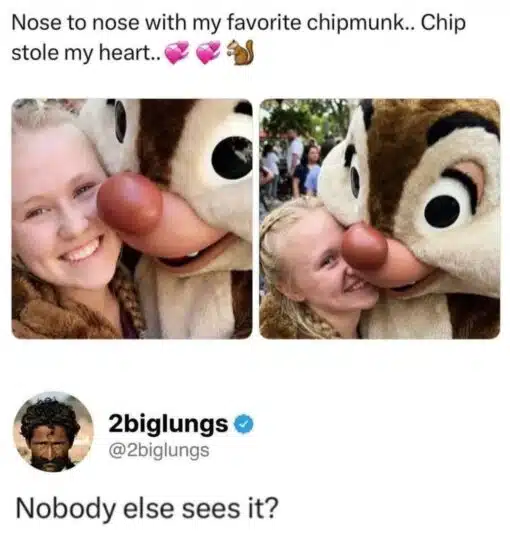 Animal Memes, Cringe Memes, Dirty Mind Memes, Disney Memes, Double Meaning Memes, Funniest Memes, Funny Comments Memes, Innuendo Memes, Nose Memes, Photos Gone Wrong, Social Media Memes, Squirrel Memes, When You See It, The meme shows a social media-style post with two cheerful photos of a young woman posing cheek-to-cheek with Chip, the Disney chipmunk mascot. The caption at the top sweetly says she is “nose to nose” with her favorite chipmunk and that Chip “stole my heart,” complete with heart emojis and a squirrel emoji. Under the photos, a reply from 2biglungs asks, “Nobody else sees it?” The joke depends on the viewer noticing that Chip’s oversized round red mascot nose is pressed very close to the woman’s face in a way that unintentionally resembles something more suggestive than innocent theme-park cuteness.