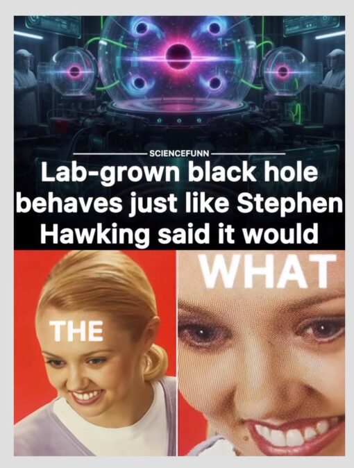 Confused Memes, Funniest Memes, Futuristic Memes, News Memes, Science Memes, Weird Memes, WTF Memes, A dramatic sci-fi laboratory scene fills the top half of the meme: glowing pink and blue “black hole” orbs float inside glassy containment chambers, surrounded by futuristic machinery and shadowy lab workers. Over it, a huge headline announces, “Lab-grown black hole behaves just like Stephen Hawking said it would,” branded with the small label “SCIENCEFUNN.” The bottom half cuts to a reaction image of a smiling blonde woman, then an extreme zoom on her face, with the words “THE” and “WHAT” slapped across the two panels. The zoomed-in expression turns the headline into a full-brain-freeze moment: not “what?” but “THE WHAT.”