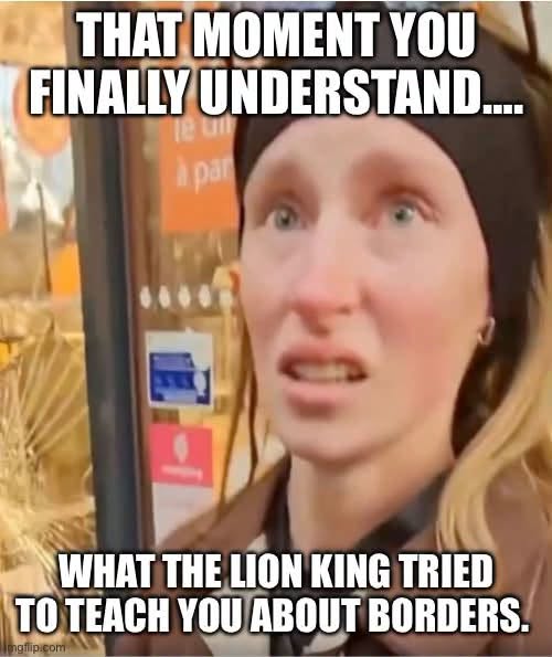Confused Memes, Disney Memes, Famous Movie Scene, Funniest Memes, Immigration Memes, Movie Memes, Perspective Memes, Political Memes, Pop Culture Memes, Useful Idiot, Voting consequences girl, The meme shows a close-up of a wide-eyed woman with a startled, almost enlightened expression, as if she has just had a dramatic realization. The bold white impact-font text fills the top and bottom of the image, framing her shocked face like a sudden epiphany caught on camera. The caption reads like a punchline to a delayed childhood lesson: “THAT MOMENT YOU FINALLY UNDERSTAND.... WHAT THE LION KING TRIED TO TEACH YOU ABOUT BORDERS.” The ordinary reaction-shot image becomes a vehicle for a political-pop-culture joke about taking an old Disney scene much more literally than intended.
