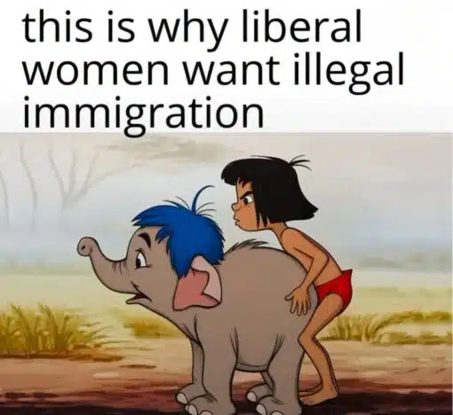Cartoon Memes, Disney Memes, Funniest Memes, Immigration Memes, Leftist Memes, Liberal vs Conservative Memes, Misogynist Memes, NSFW, Offensive Memes, Political Memes, Sex Memes, Sexist Memes, Women Memes, A large, plain-text caption at the top reads, “this is why liberal women want illegal immigration.” Under it is a cropped cartoon image of Mowgli from Disney’s *The Jungle Book* positioned behind a small gray elephant in a way that creates an intentionally crude sexual visual gag.