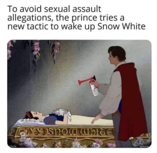 Awkward Memes, Cartoon Memes, Dark Humor, Disney Memes, Fairy Tale Memes, Famous Movie Scene, Funniest Memes, Movie Memes, NSFW, Offensive Memes, Pop Culture Memes, Sex Memes, Sleep Memes, The meme uses a still from the classic animated Snow White scene: Snow White lies asleep in a glass coffin surrounded by flowers, while the prince stands beside her in a red cape. Instead of leaning in for the traditional fairy-tale kiss, he is holding an air horn pointed toward her face, ready to blast her awake from a safe distance. The large caption above the image reads, “To avoid sexual assault allegations, the prince tries a new tactic to wake up Snow White,” reframing the romantic rescue scene as an awkward modern consent problem.