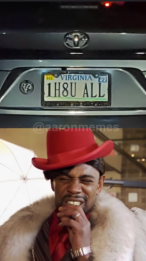Car Memes, Funniest Memes, Funny License Plates, Funny Text Memes, Hater Memes, License Plate Memes, Mean Memes, Play on Words Memes, Rude Memes, A nighttime photo shows the back of a Toyota with a Virginia vanity license plate reading “1H8U ALL,” which visually translates to “I hate you all.” The plate is centered under the Toyota emblem, lit by the car’s license-plate lights, making the message feel blunt and unmistakable.