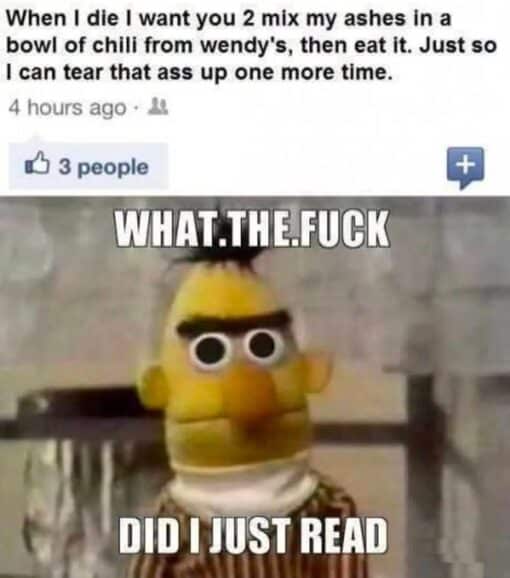 Afterlife Memes, Ass Memes, Butt Memes, Dark Humor, Death Memes, Facebook Memes, Fast Food Memes, Food Memes, Funeral Memes, Funniest Memes, Gross Memes, Poop Memes, WTF Memes, The meme is split into two parts: at the top is a blurry screenshot of a Facebook-style status update where someone makes an absurd final-wishes request involving their ashes, Wendy’s chili, and one last digestive revenge joke. Under it, the post shows a tiny reaction count, making the already unhinged status feel like something casually dropped into an ordinary social feed. The bottom half shows Bert from Sesame Street staring forward with a blank, shocked expression. Big white impact-font text over the image reads “WHAT.THE.FUCK” and “DID I JUST READ,” turning Bert into a stand-in for the viewer’s stunned reaction.