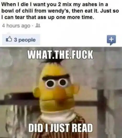 Afterlife Memes, Ass Memes, Butt Memes, Dark Humor, Death Memes, Facebook Memes, Fast Food Memes, Food Memes, Funeral Memes, Funniest Memes, Gross Memes, Poop Memes, WTF Memes, The meme is split into two parts: at the top is a blurry screenshot of a Facebook-style status update where someone makes an absurd final-wishes request involving their ashes, Wendy’s chili, and one last digestive revenge joke. Under it, the post shows a tiny reaction count, making the already unhinged status feel like something casually dropped into an ordinary social feed. The bottom half shows Bert from Sesame Street staring forward with a blank, shocked expression. Big white impact-font text over the image reads “WHAT.THE.FUCK” and “DID I JUST READ,” turning Bert into a stand-in for the viewer’s stunned reaction.