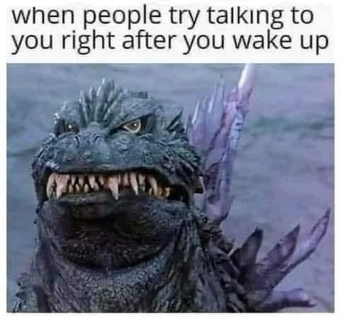 Aggravated Memes, Angry Memes, Annoying People Memes, Conversation Memes, Exhausted Memes, Funniest Memes, I Hate Mornings Memes, Monster Memes, Mood Memes, Sleep Memes, Tired Memes, The meme shows a large, scaly, Godzilla-like monster staring forward with narrowed eyes and a mouth full of sharp teeth. Its expression looks irritated, feral, and barely awake, as if it is seconds away from growling at whoever disturbed it. Above the image, the caption reads: “when people try talking to you right after you wake up,” turning the creature’s hostile glare into a visual stand-in for extreme morning grumpiness.
