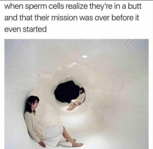 Anal Sex Memes, Butt Memes, Cum Memes, Dirty Mind Memes, Funniest Memes, Jizz Memes, NSFW, Sex Memes, Sexuality Memes, Sperm Memes, Weird Memes, WTF Memes, The meme pairs a blunt, sexually explicit caption with a surreal image of two women in pale clothing sitting inside a smooth, white, tunnel-like space. A dark, rounded opening appears behind one of them, making the scene look strange, cavernous, and slightly sci-fi, like characters have wandered into the wrong biological “destination.” The text at the top frames the figures as sperm cells suddenly realizing they are not where they expected to be. The blank white interior and the dark hole visually support the joke by turning the image into an absurd, imagined inner-world setting.