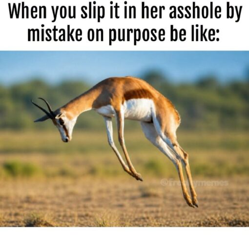 Anal Sex Memes, Animal Memes, Asshole Memes, Couple Memes, Dirty Mind Memes, Funniest Memes, Gross Memes, Horny Memes, Nasty Memes, NSFW, Relationship Memes, Sex Memes, A bold black caption sits at the top of the meme, setting up an intentionally crude bedroom scenario. Below it is a photo of a gazelle or antelope caught mid-leap in an open grassy landscape, its legs tucked awkwardly and its body arched as if it has suddenly sprung into the air.