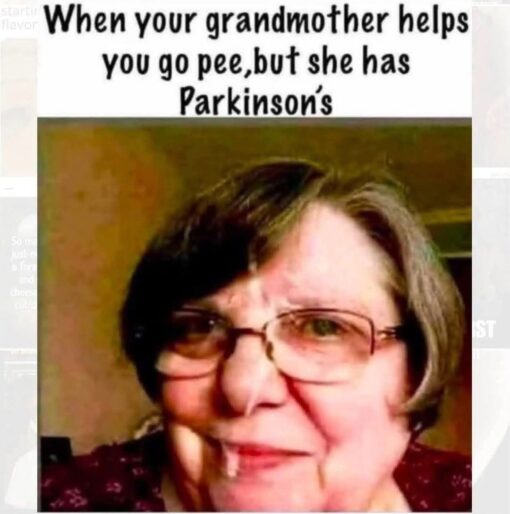 Bathroom Memes, Dark Humor, Family Memes, Funniest Memes, Getting Old Memes, Grandma Memes, Gross Memes, Handicap Memes, Health Memes, Offensive Memes, Old People Memes, Pee Memes, Toilet Memes, The meme shows a low-resolution close-up of an older woman wearing glasses, framed from the shoulders up in a warm, dim indoor setting. She has a slightly awkward, tight-lipped smile, which gives the image a candid, uncomfortable energy.