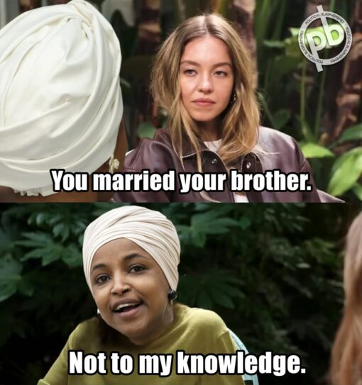 Anti Democrat Memes, Brother Memes, Current Event Memes, Funniest Memes, Ilhan Married Her Brother, Incest Memes, Marriage Memes, News Memes, Offensive Memes, Political Memes, Sibling Memes, A two-panel political meme shows a tense, interview-like exchange in a lush indoor setting. In the top panel, a blonde woman faces someone off-camera and the caption reads, “You married your brother.” In the bottom panel, the other figure—edited or presented to resemble Rep. Ilhan Omar—responds with the caption, “Not to my knowledge.” The image uses large white impact-style meme lettering with a black outline, giving the scene the feel of a mock interrogation or gotcha moment. A “Political Blasphemes” watermark in the corner signals that the meme is meant as partisan political humor rather than a neutral news image.